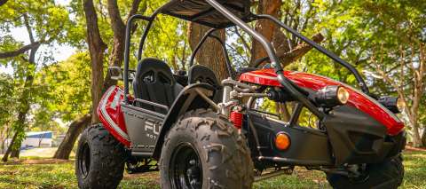 Fun Motors Buggy GTS 150
